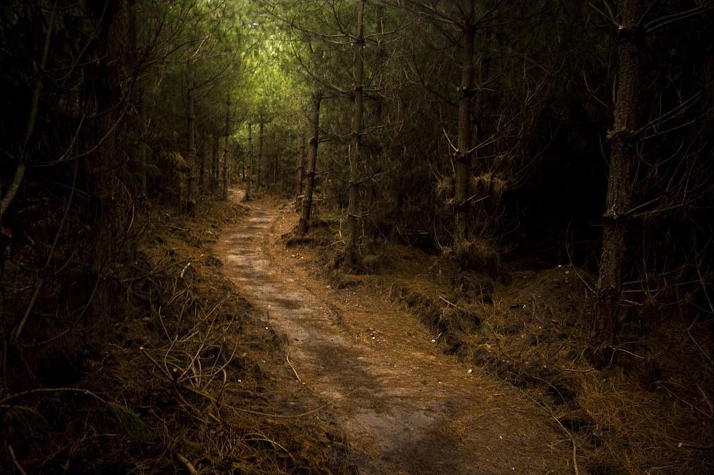 Bosque de Sherwood Bosque de Sherwood