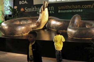 titanoboa