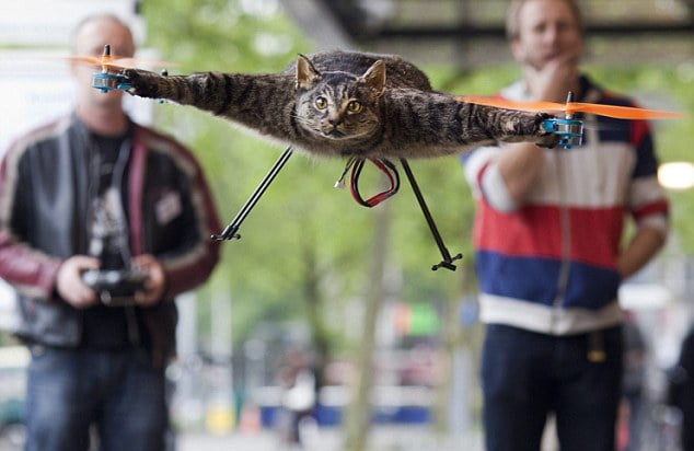 The Orvillecopter by Dutch artist Jansen flies in central Amsterdam as part as the KunstRAI art festival gato volador 3