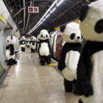 108 pandas invaden Trafalgar Square en Londres Pandas in london 10