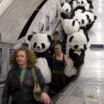 108 pandas invaden Trafalgar Square en Londres Pandas in london 11