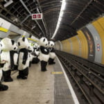 108 pandas invaden Trafalgar Square en Londres Pandas in london 12