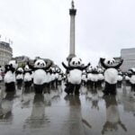 108 pandas invaden Trafalgar Square en Londres Pandas in london 2