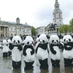 108 pandas invaden Trafalgar Square en Londres Pandas in london 5