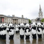 108 pandas invaden Trafalgar Square en Londres Pandas in london 6