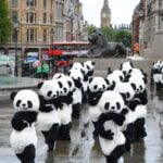 108 pandas invaden Trafalgar Square en Londres Pandas in london 8