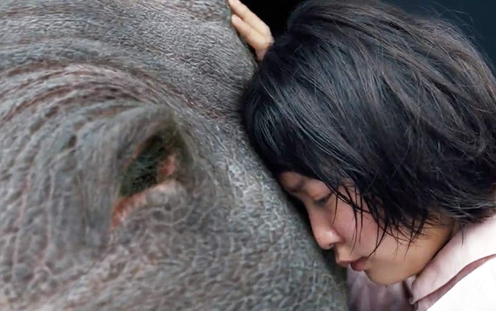 Netflix decide retirar sus películas del Festival de Cannes okja