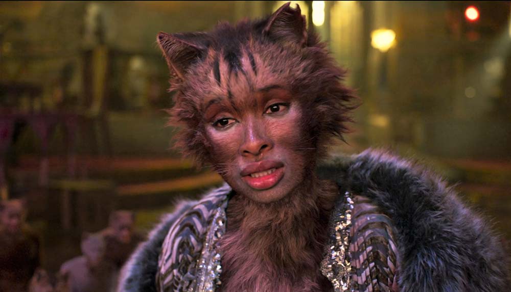 Cats cgi
