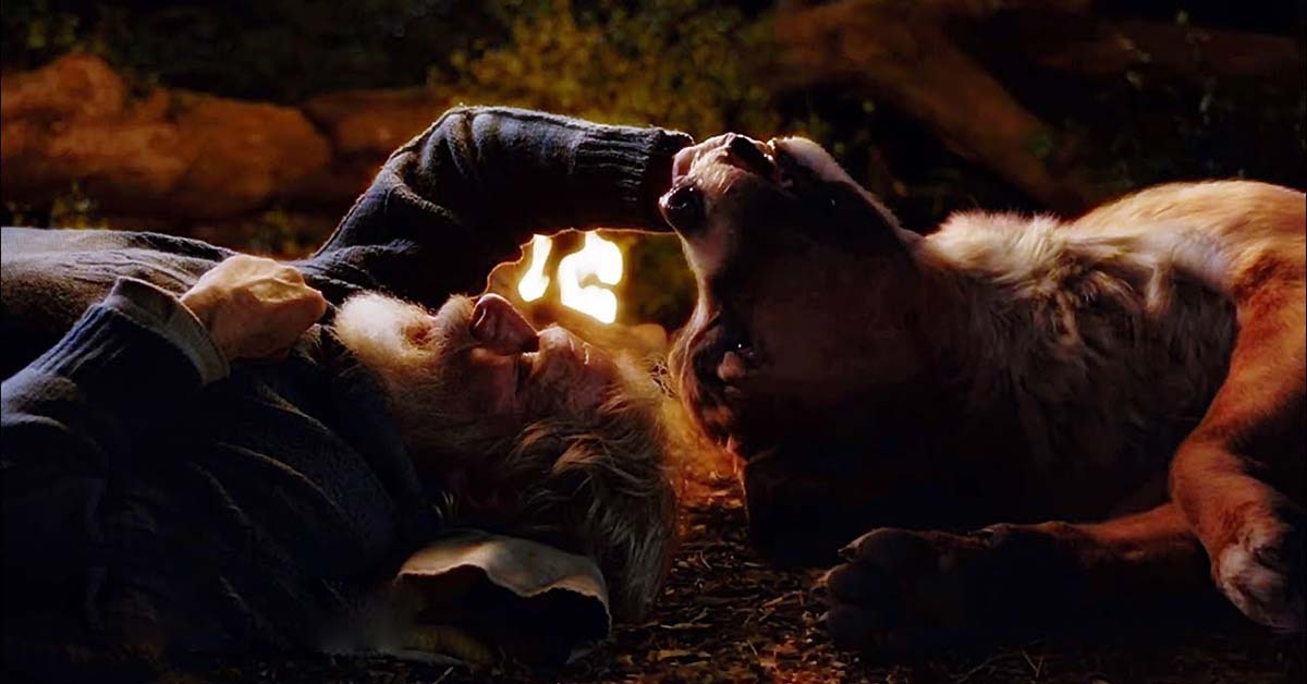 El Llamado Salvaje 3