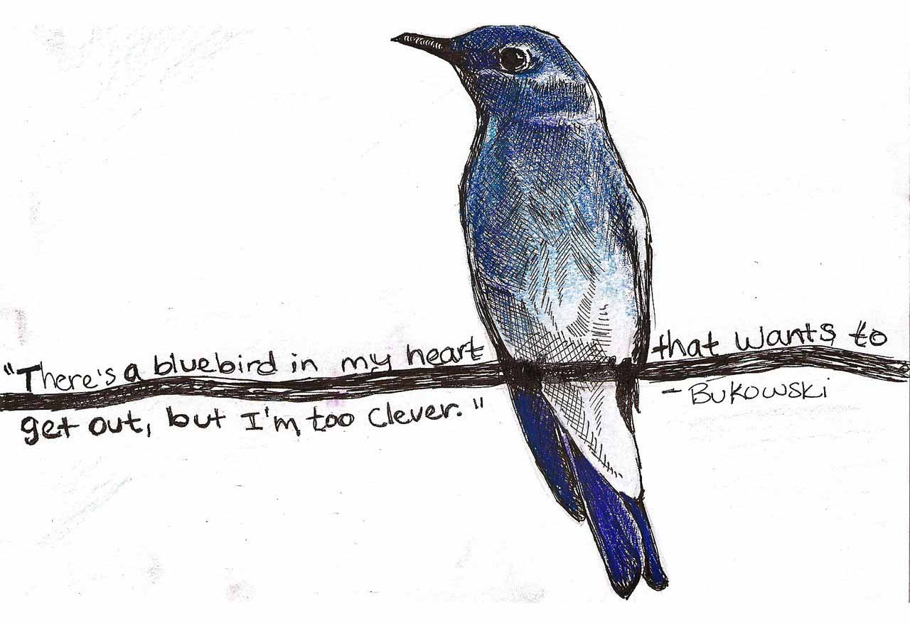 Hay un pajaro azul en mi ventana