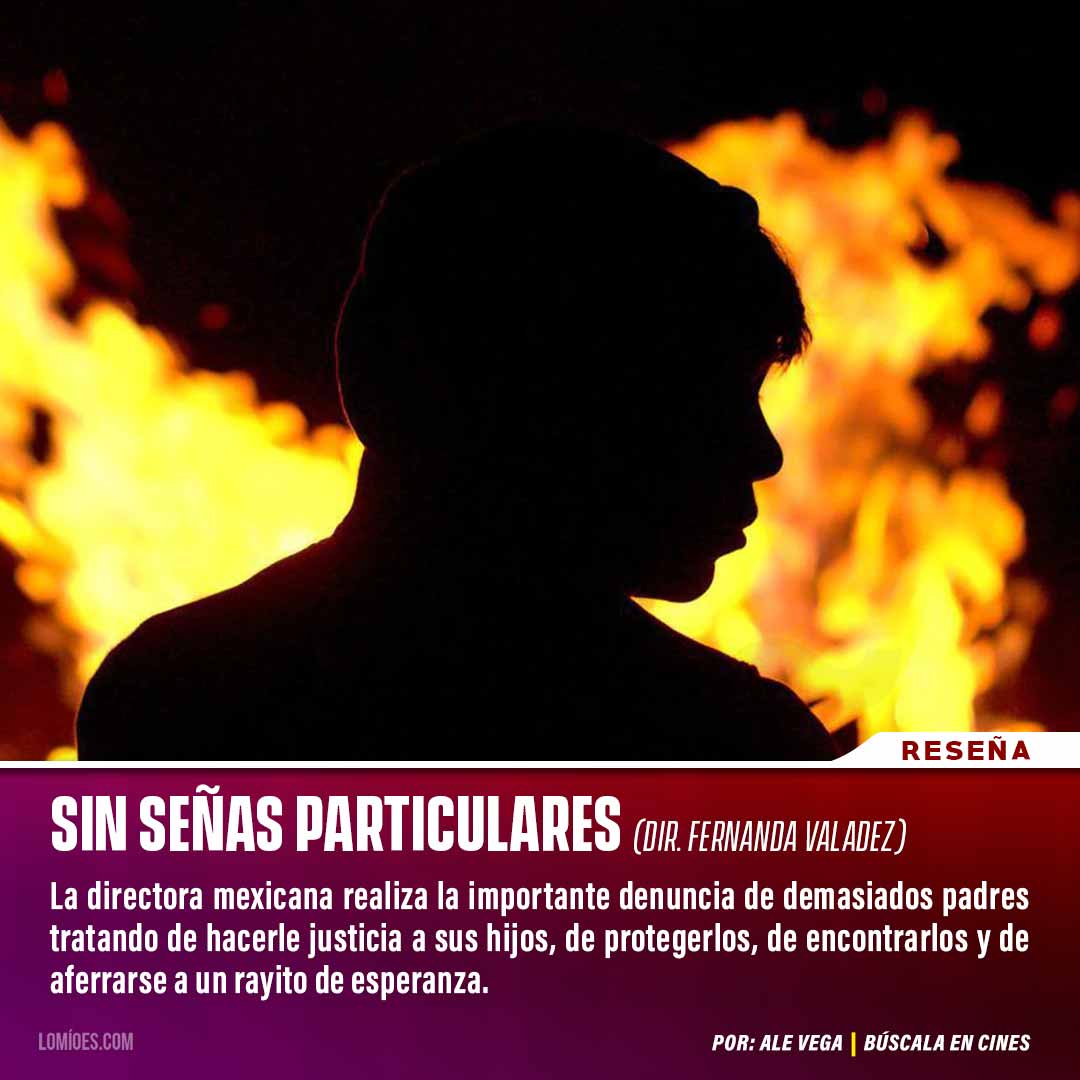 Resena SIn Senas Particulares Ariel 2021