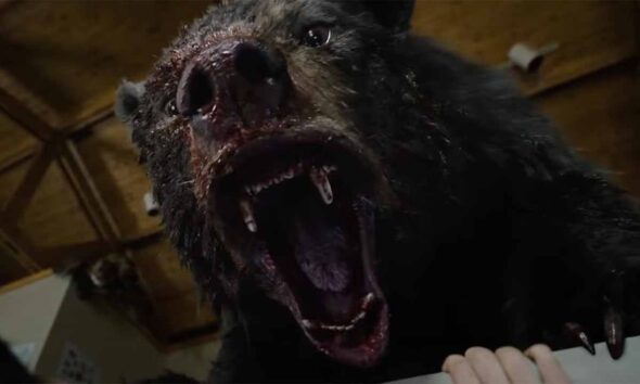 Cocain Bear historia real oso vicioso intoxicado