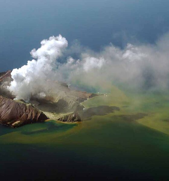 El Volcán rescate en Whakaari en Netflix