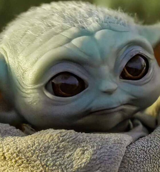 Star Wars The Mandalorian Grogu
