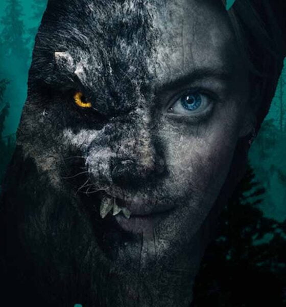 Ver o no ver Lobo Vikingo en Netflix