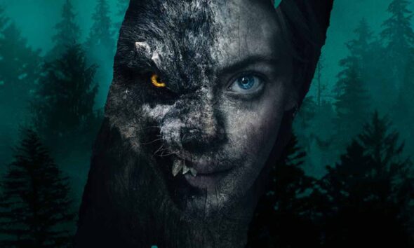 Ver o no ver Lobo Vikingo en Netflix
