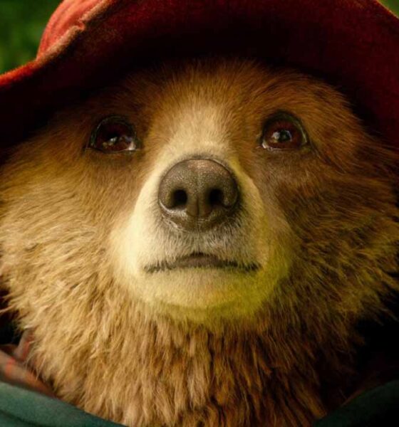 Paddington en Perú comienza a grabarse en Julio