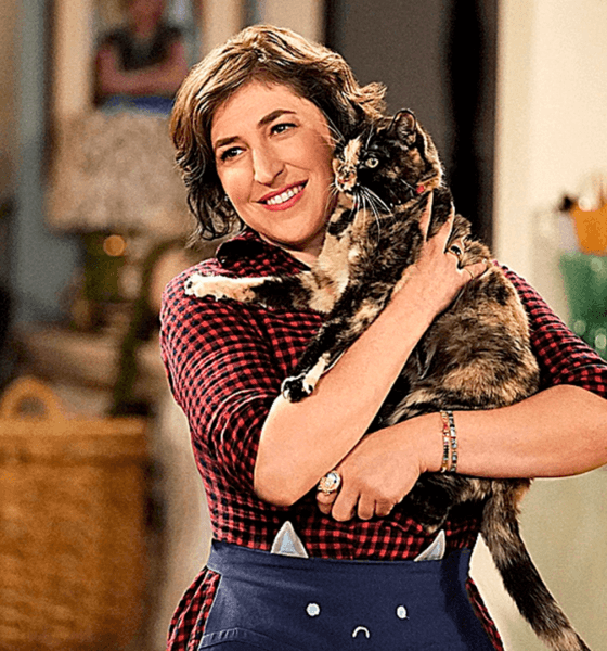 Call Me Kat cancelada no tendrá temporada 4