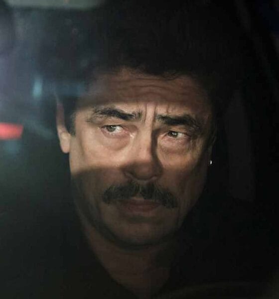 Benicio del Toro guionista en Reptile