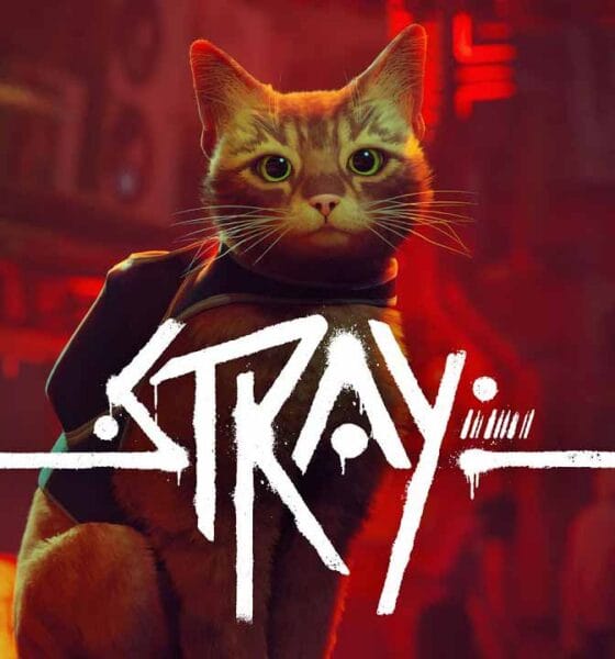 Stray adaptación en cine