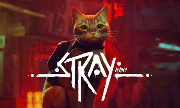 Stray adaptación en cine